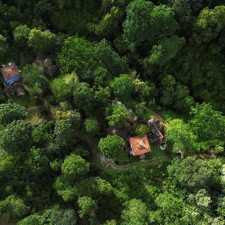Mahout Resort Wayanad - An Experiential Jungle Stay With Waterfall Калпетта Экстерьер фото