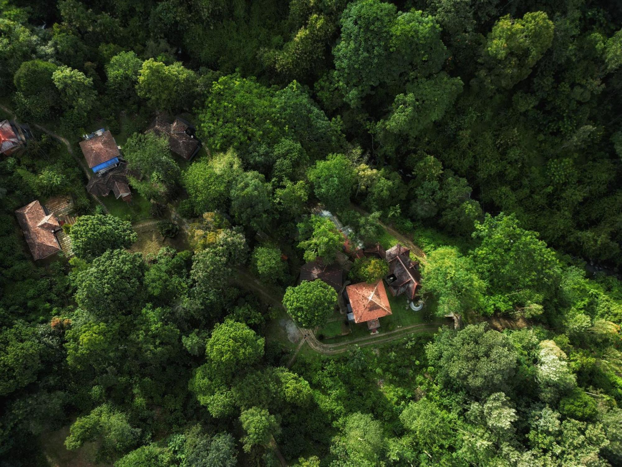 Mahout Resort Wayanad - An Experiential Jungle Stay With Waterfall Калпетта Экстерьер фото