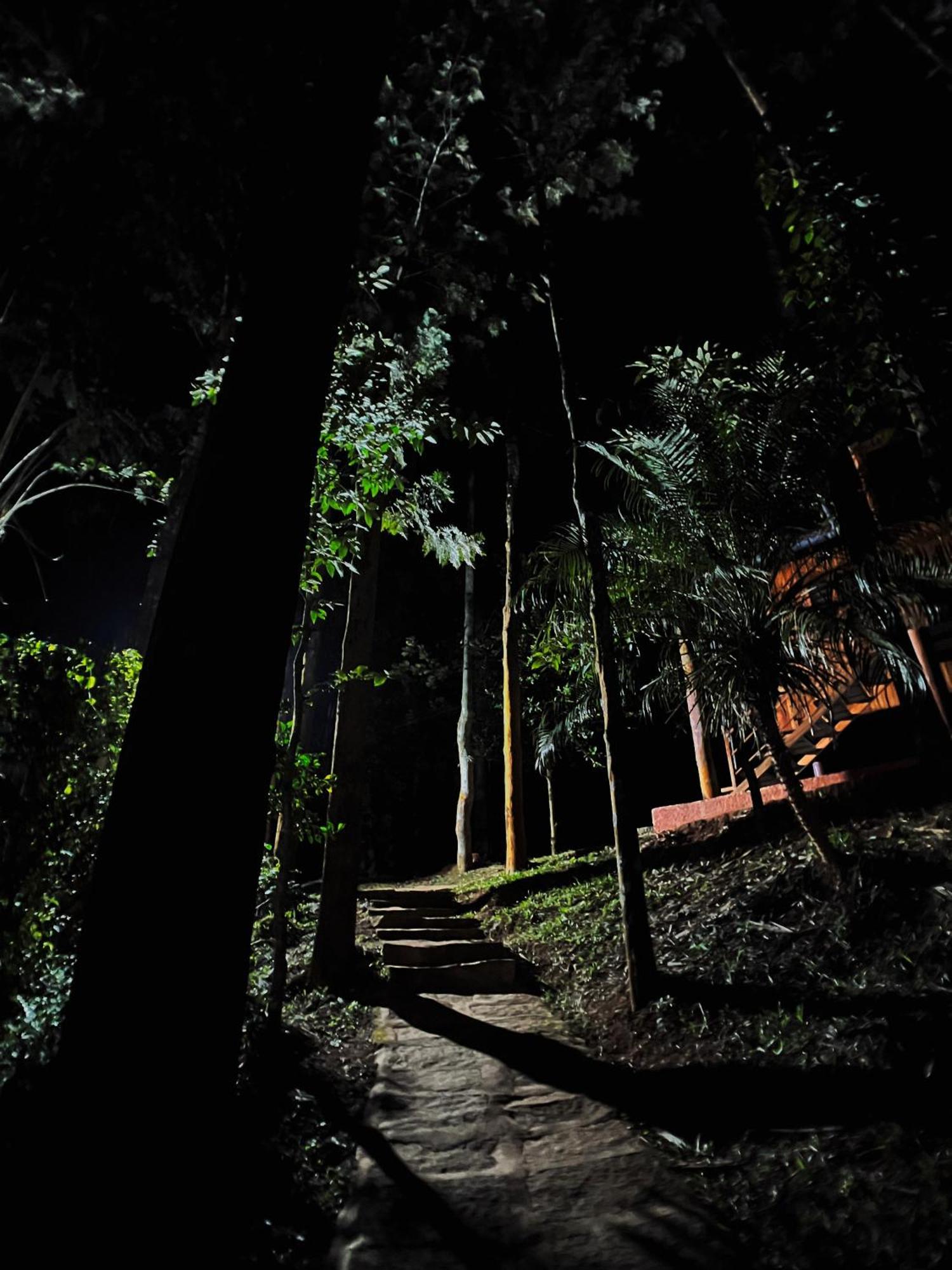 Mahout Resort Wayanad - An Experiential Jungle Stay With Waterfall Калпетта Экстерьер фото
