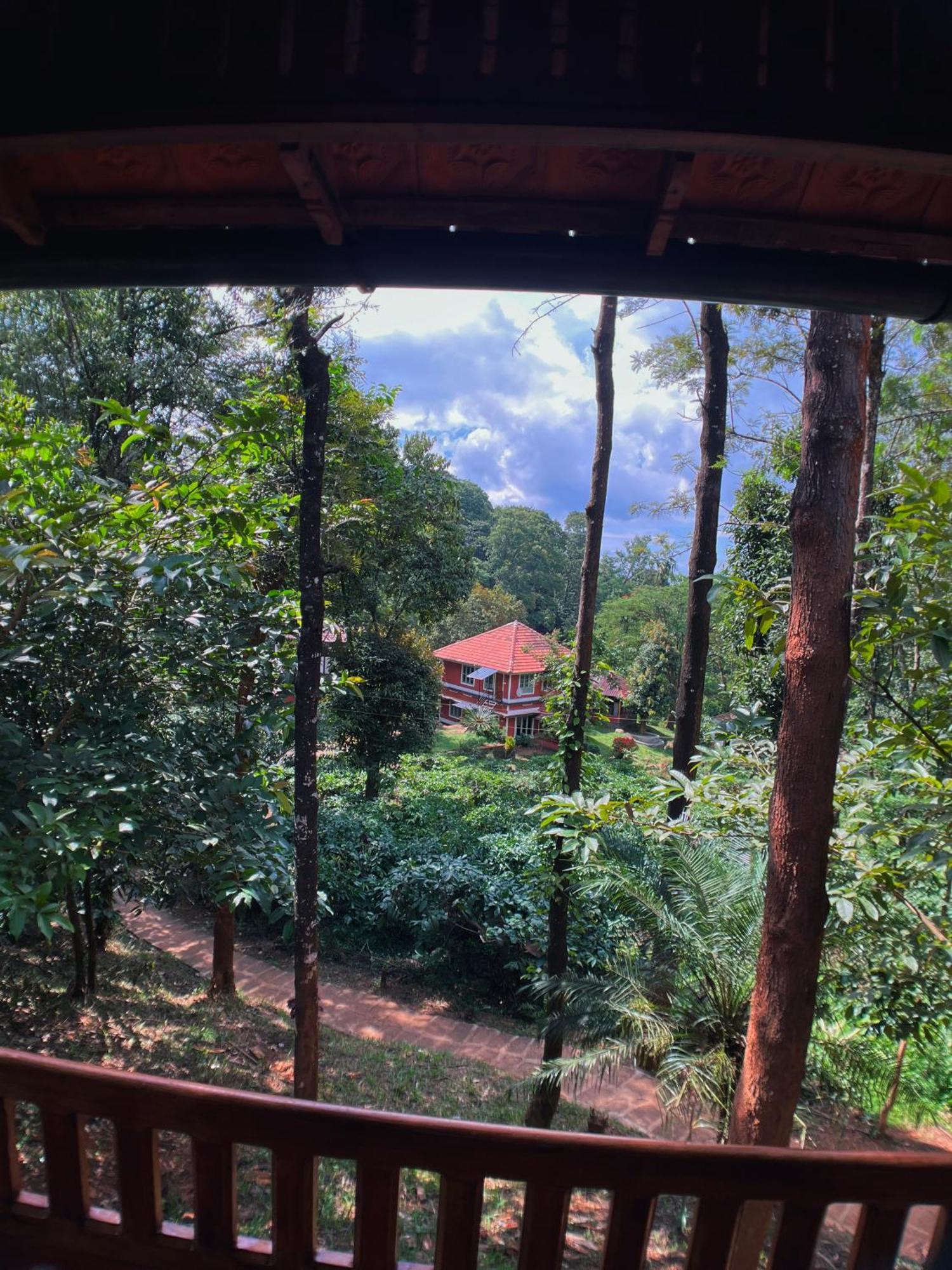Mahout Resort Wayanad - An Experiential Jungle Stay With Waterfall Калпетта Экстерьер фото