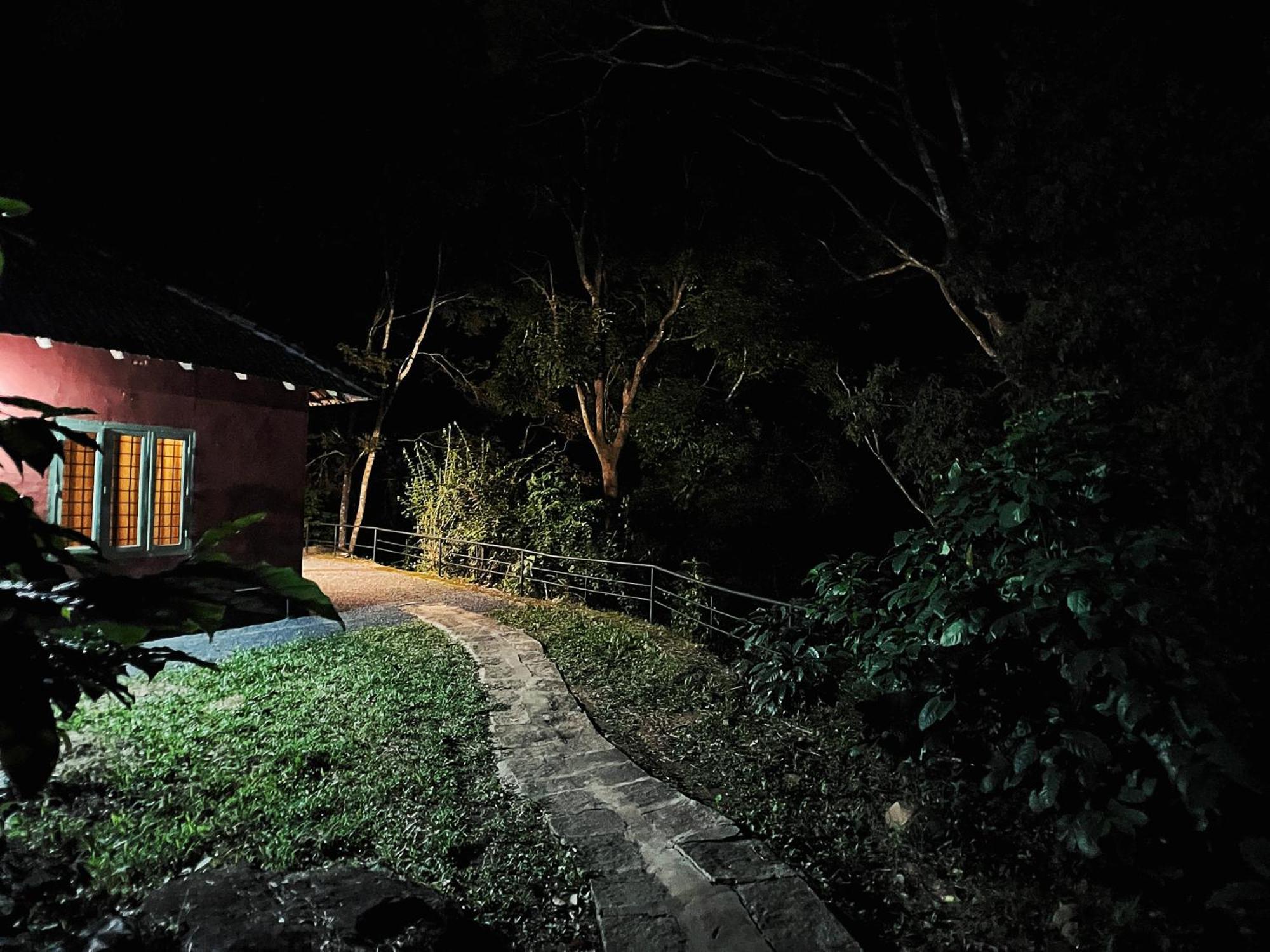 Mahout Resort Wayanad - An Experiential Jungle Stay With Waterfall Калпетта Экстерьер фото