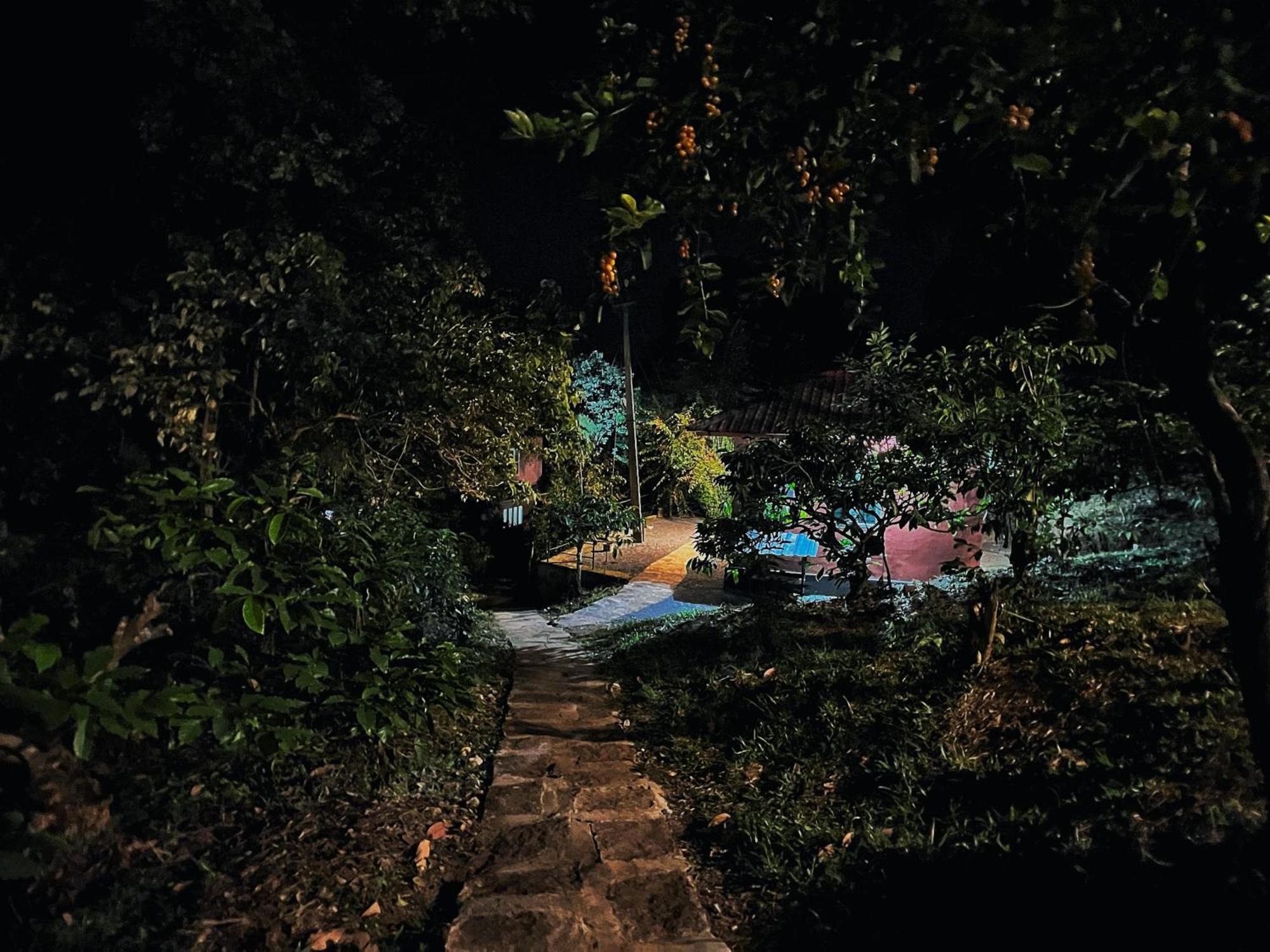 Mahout Resort Wayanad - An Experiential Jungle Stay With Waterfall Калпетта Экстерьер фото