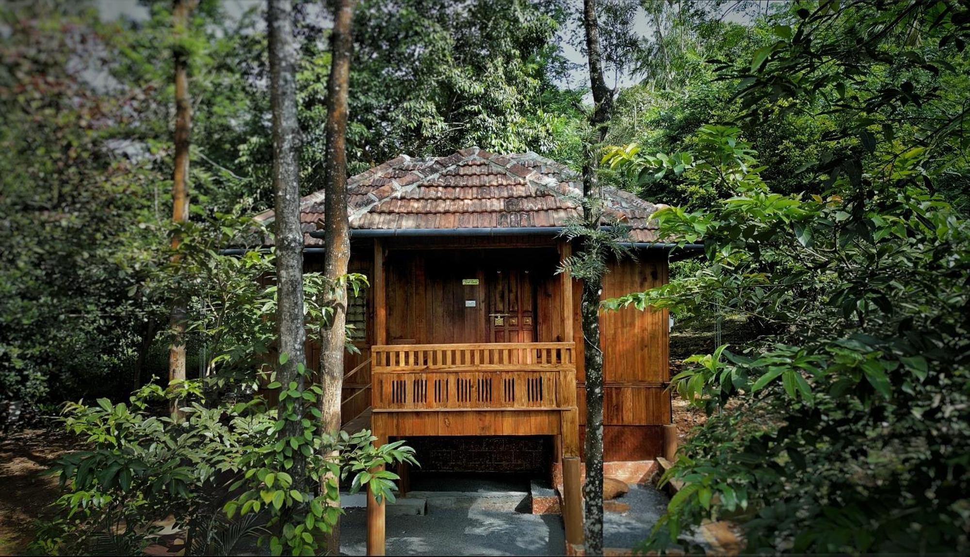 Mahout Resort Wayanad - An Experiential Jungle Stay With Waterfall Калпетта Экстерьер фото